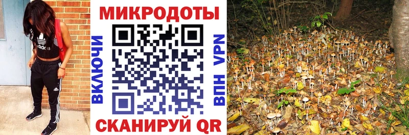 Галлюциногенные грибы Cubensis  ссылка на мегу маркетплейс  Ливны  купить закладку 
